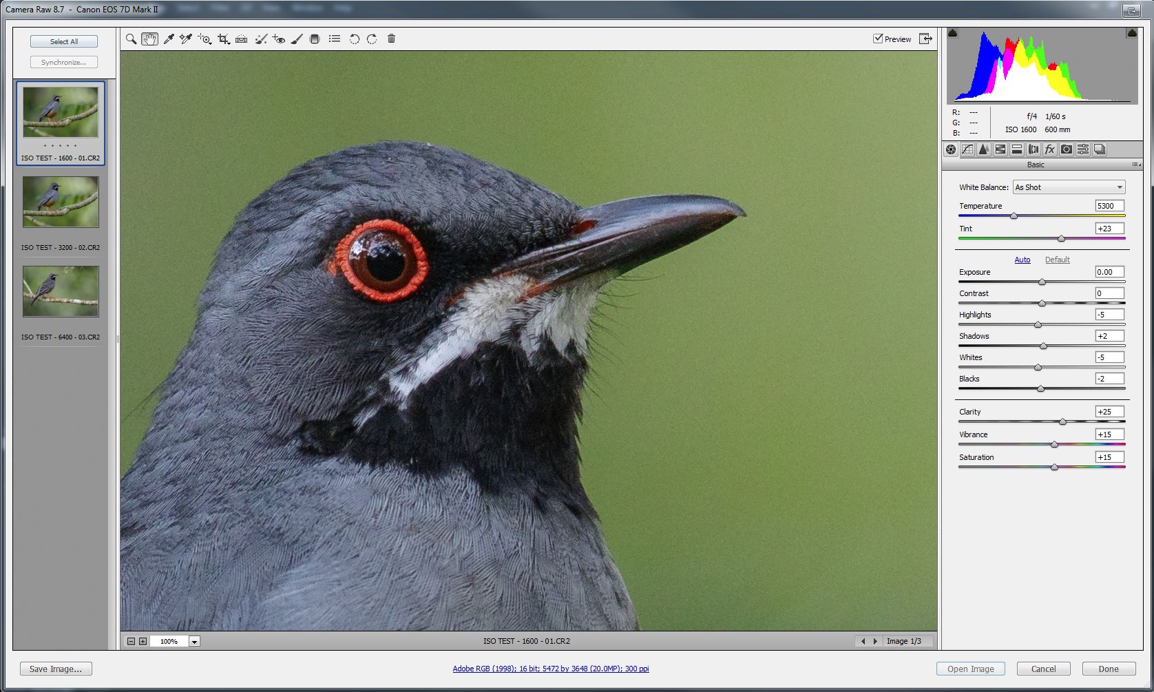 Best Settings For Bird Photography Canon 7d Mark Ii Bird Walls
